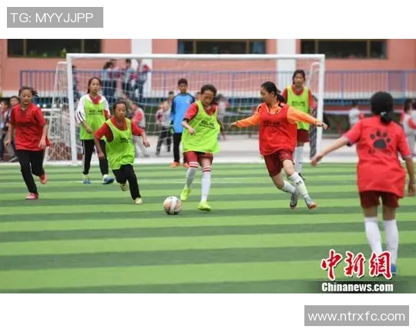 嘉兴篮球热潮兴起青少年篮球发展与赛事活动全面推进